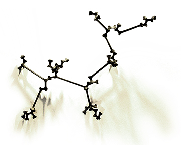 Tetramorfo extendido 70 N