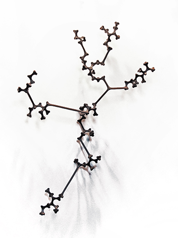 Tetramorfo extendido 101 N